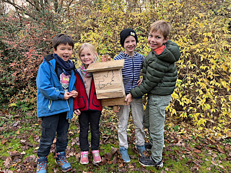 AG Junge Naturfreunde – Fledermäuse