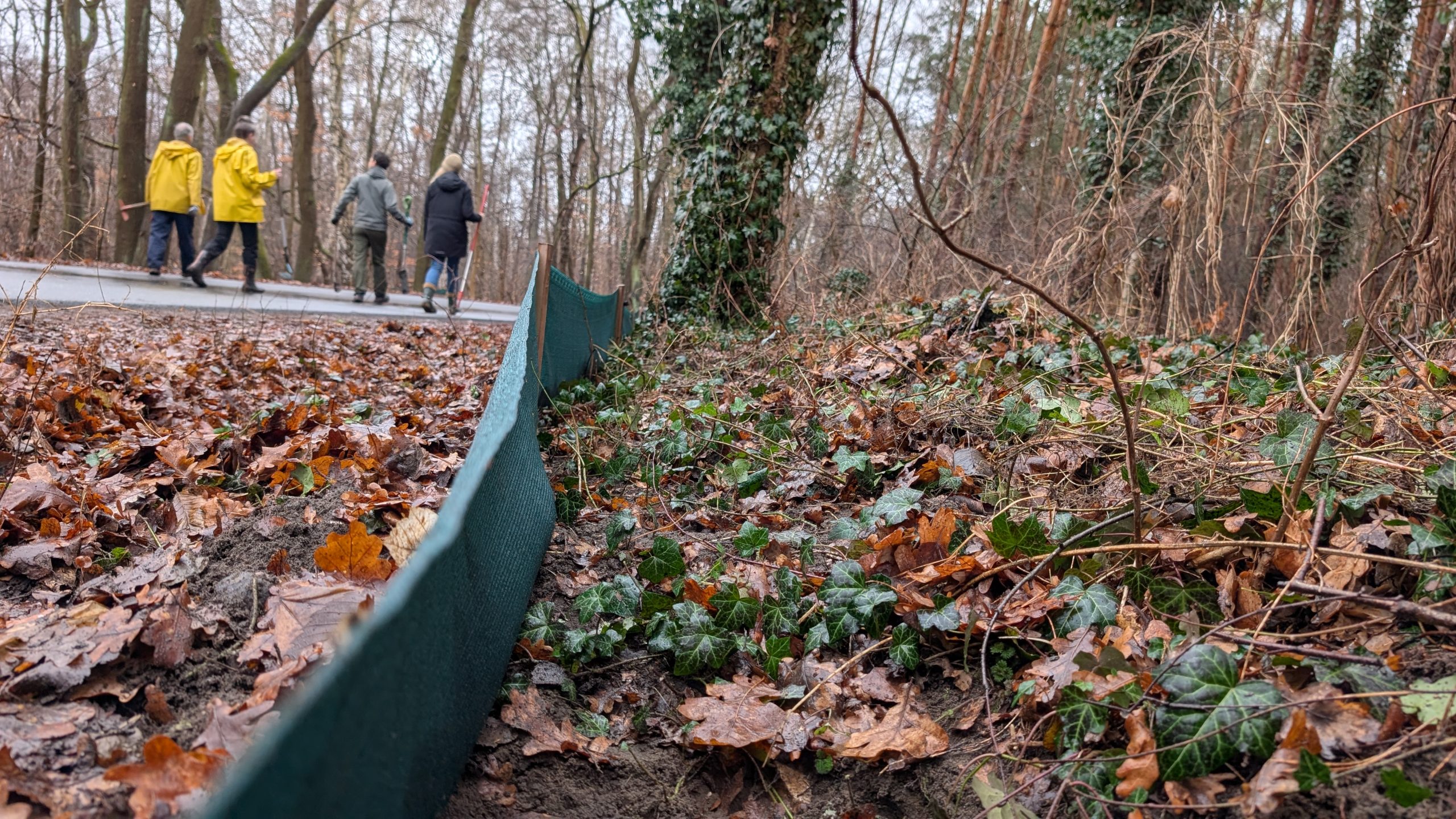 Amphibienschutz Wildpark West