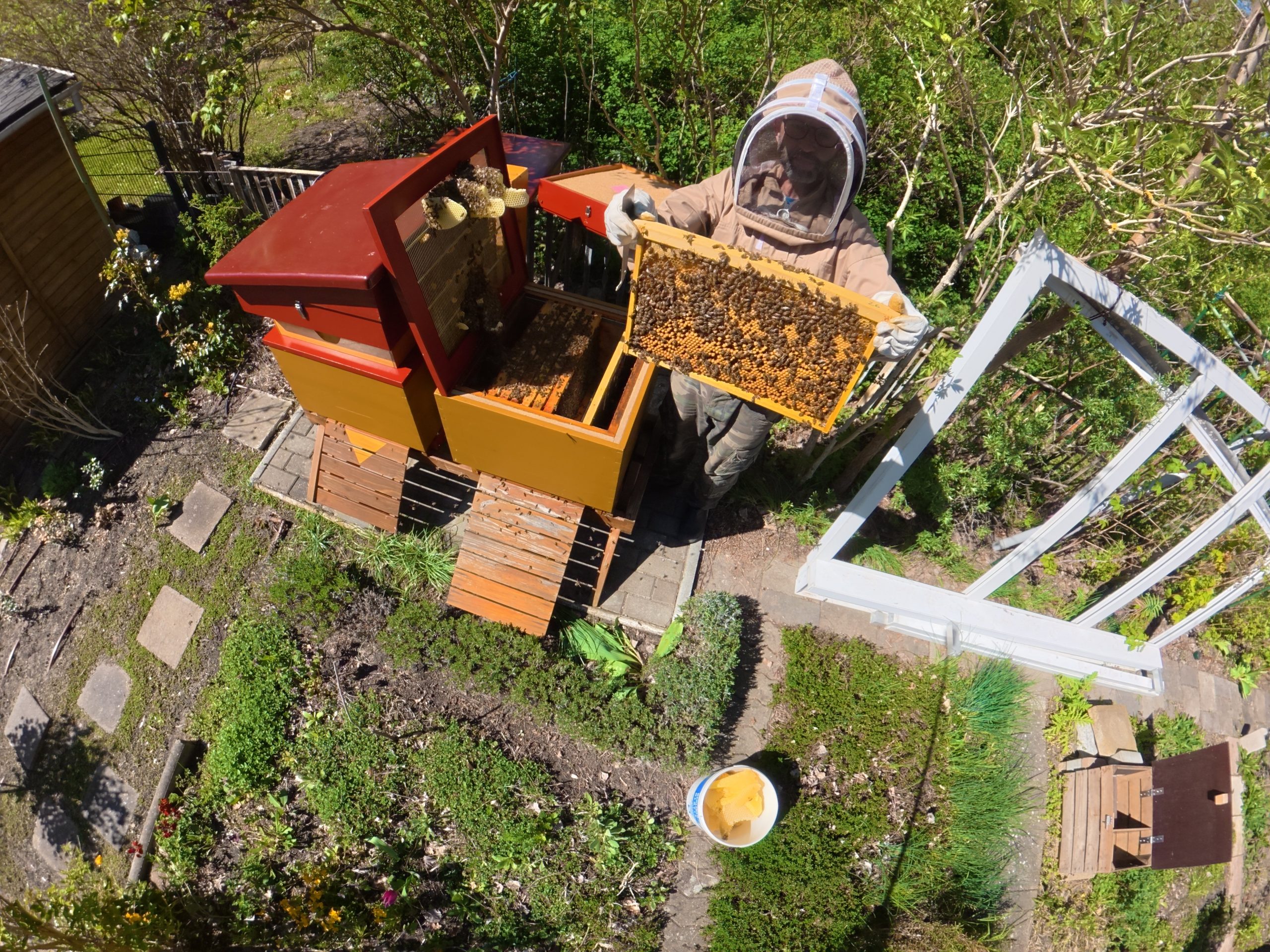Bienenstock in Wildpark West